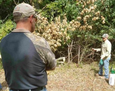 Buckthorn-Training-CWMA