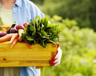 woman-holding-box-with-vegetables_small-locally-grown