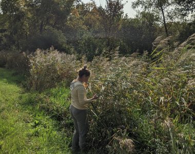 Invasive Species Coordinator Katie Sickmann during monitoring efforts. (Photo Credit: Jeremiah Walters, Wild Rivers Conservancy)