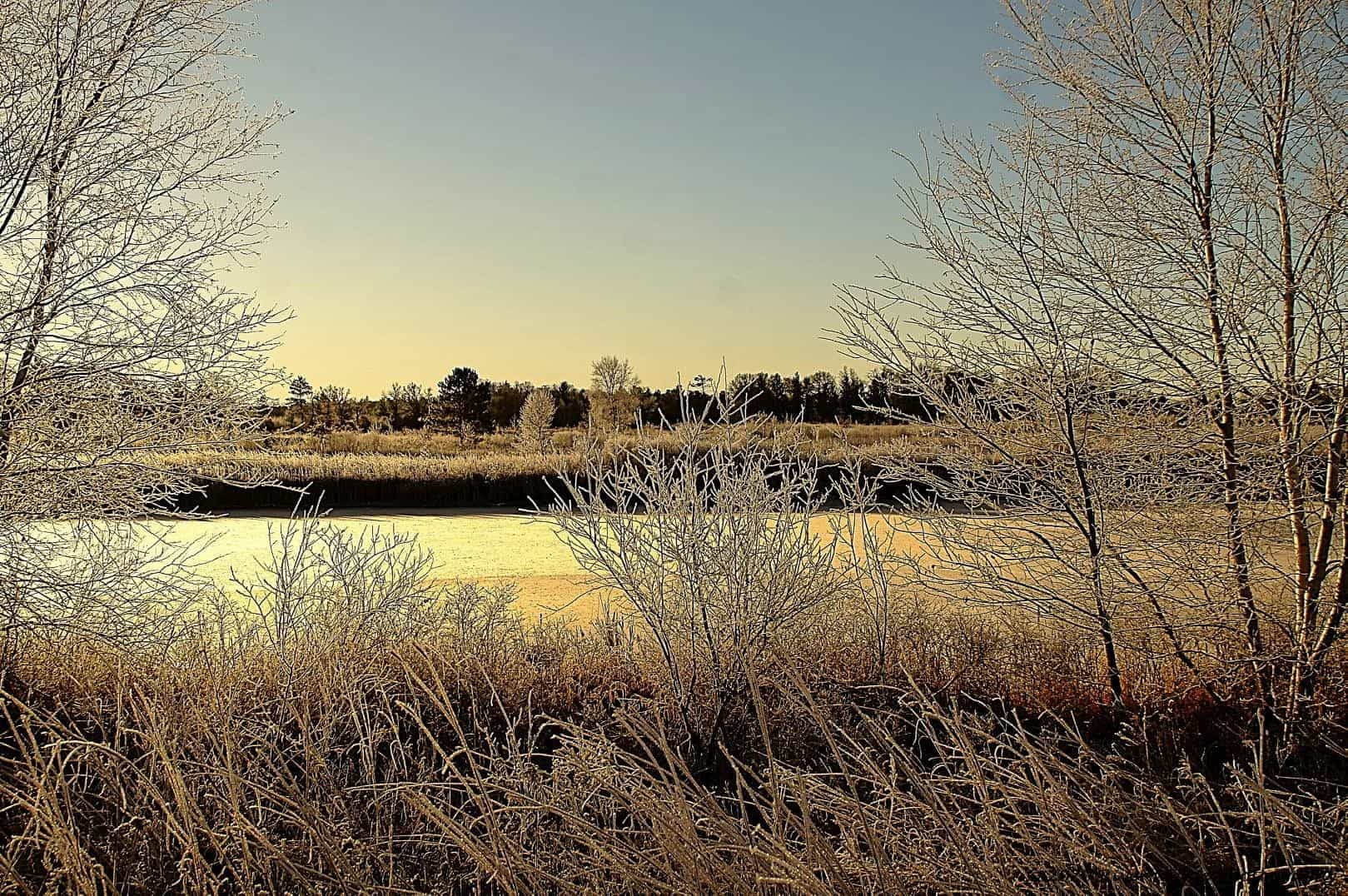 Photo Credit: Gary Peterson, River's Edge Photography