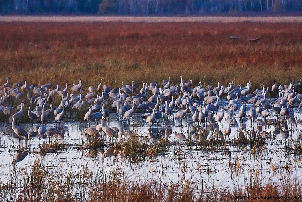 Photo Credit: Gary Peterson, River's Edge Photography