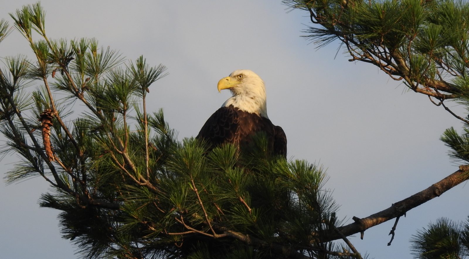 Photo Credit: Sophia Patane, Wild Rivers Conservancy