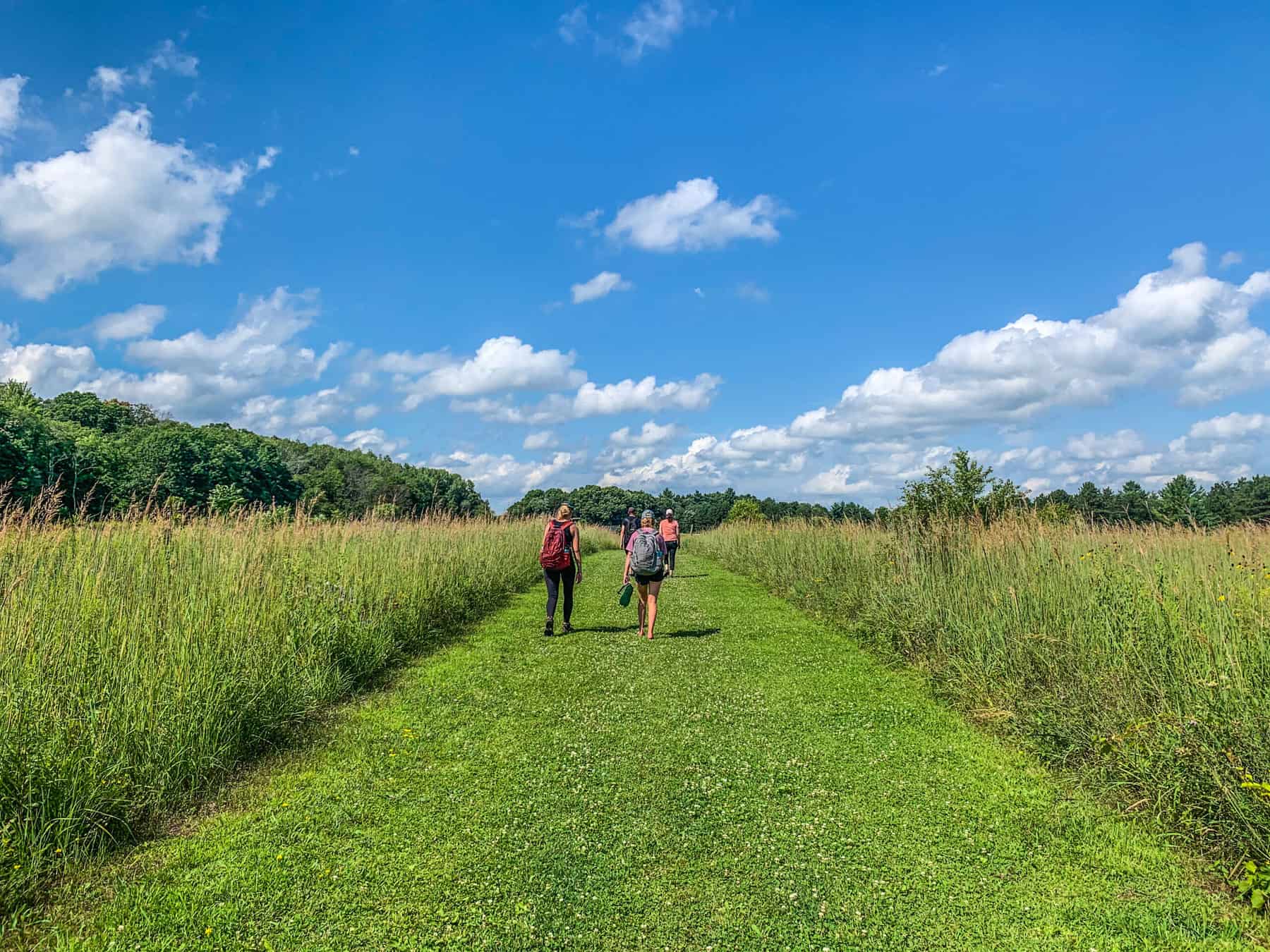 Hiking at William O'
Brien State Park. (Photo: Kate Wright, Wild Rivers Conservancy)