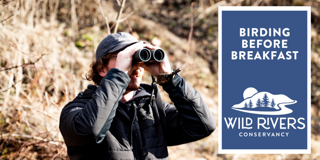 Man looking through binoculars at birds
