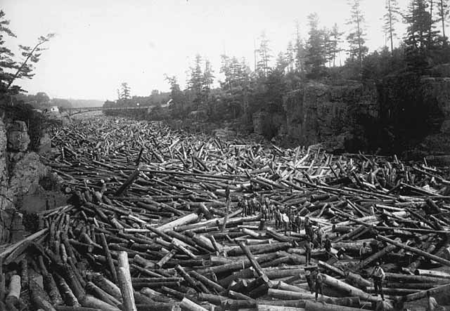 Log jam on the St. Croix River at the Dalles of the St. Croix in 1886, containing 60 million feet of logs.
Photo by: Sargent, UW Madison Library