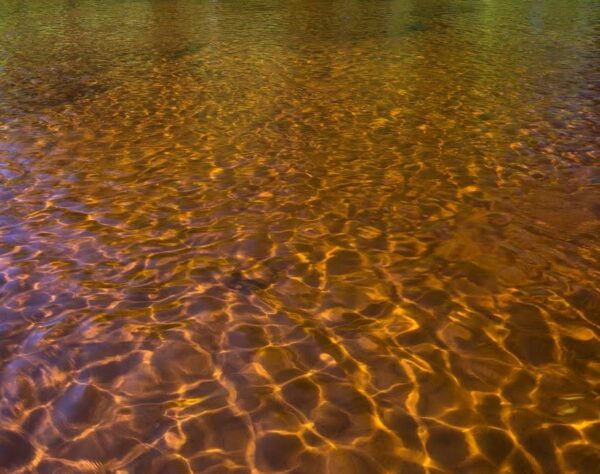 The crystal-clear water of the St. Croix River moves over top of a sandbar.
 Photo: Craig Blacklock
