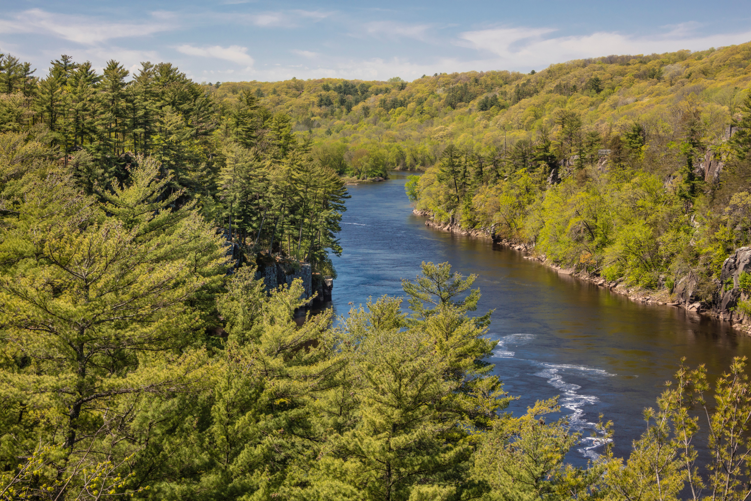 A vast treeline alongside a river