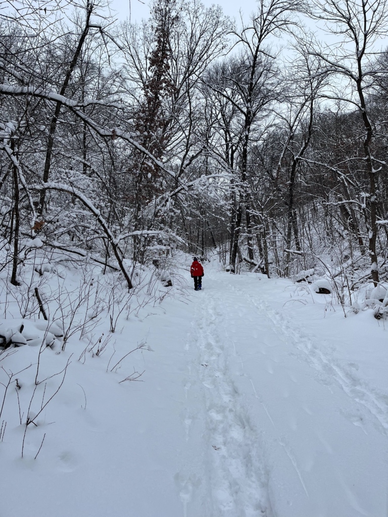 A person hiking in the snow