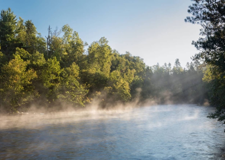 Fog rises from the river on a sunny morning with pines in the background. Photo: Craig Blacklock