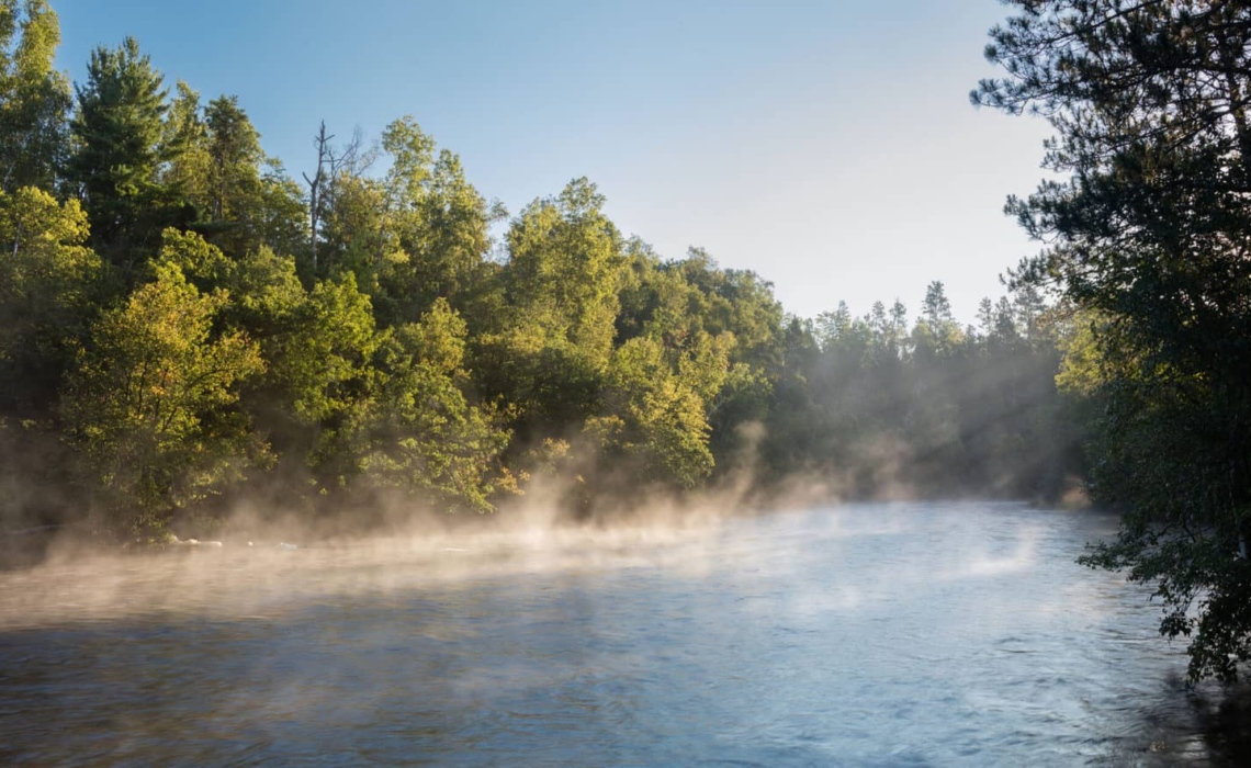 Fog rises from the river on a sunny morning with pines in the background. Photo: Craig Blacklock