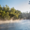 Fog rises from the river on a sunny morning with pines in the background. Photo: Craig Blacklock