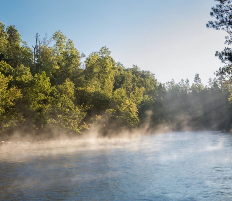 Fog rises from the river on a sunny morning with pines in the background. Photo: Craig Blacklock