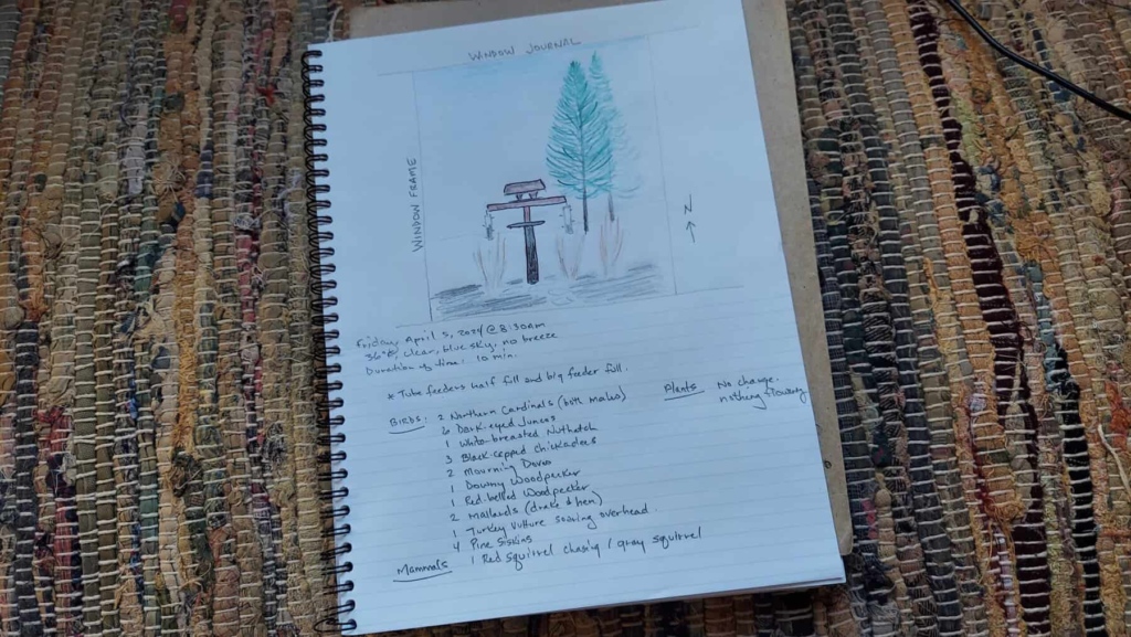 final journal entry (1)
