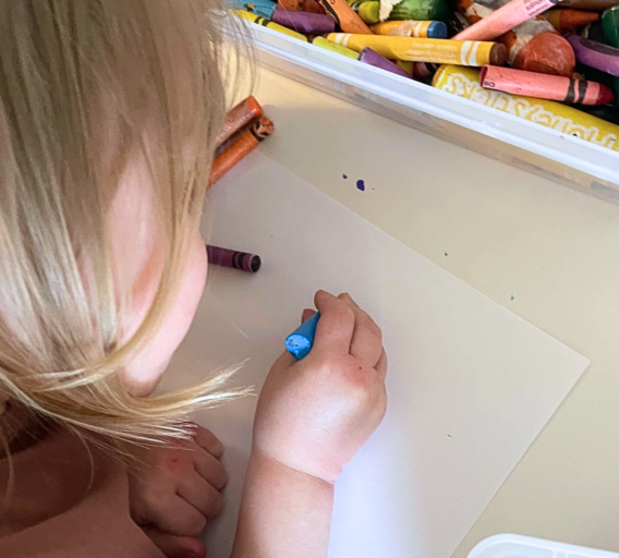 A young child starts to color a mussel on a sheet of paper using a crayon