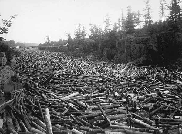 A large logjam blocks the St. Croix River at Taylors Falls