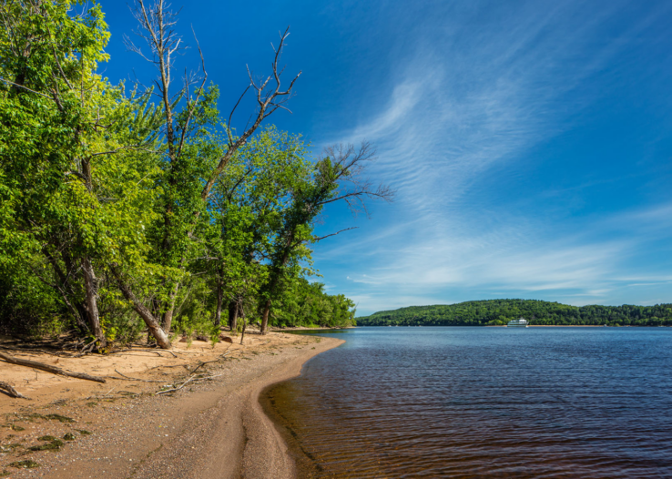 A sandy riverbank with trees