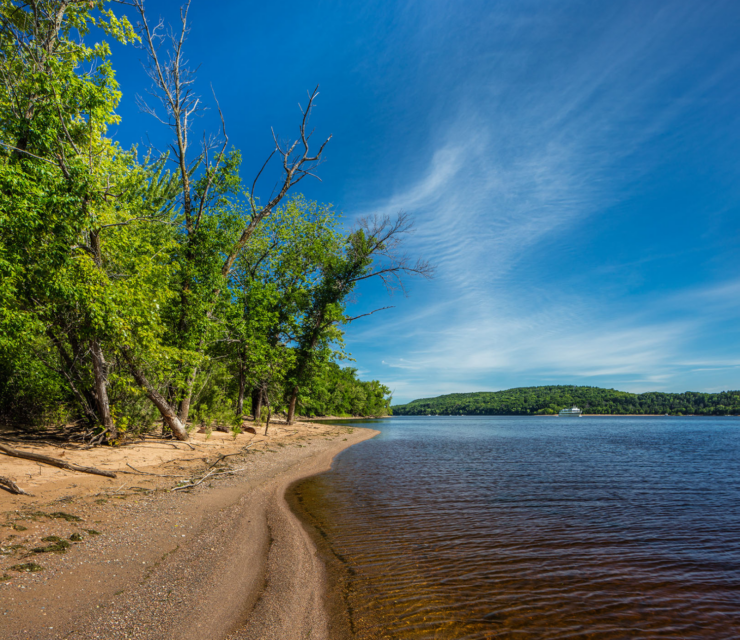 A sandy riverbank with trees