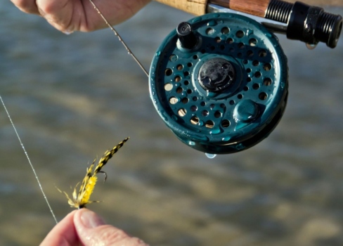 Close up on a fly fishing reel and fly